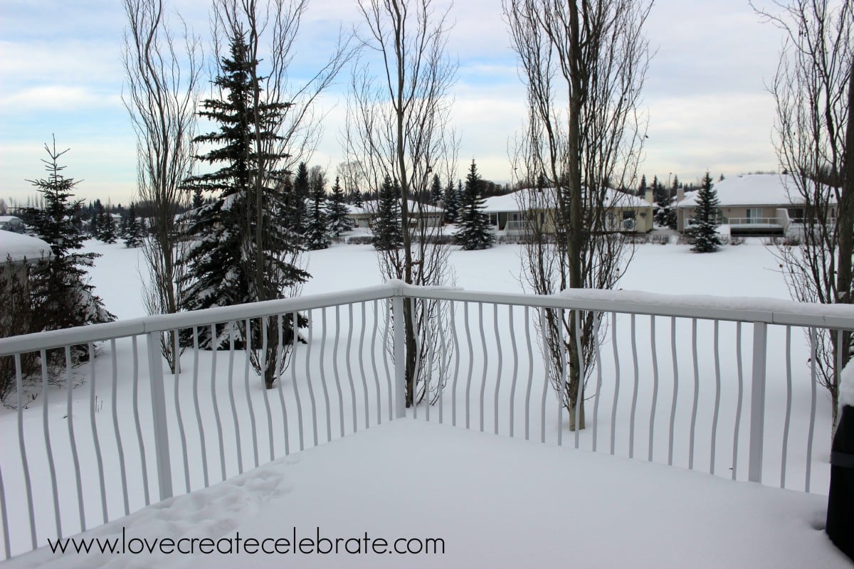 A snowy Albertan backyard
