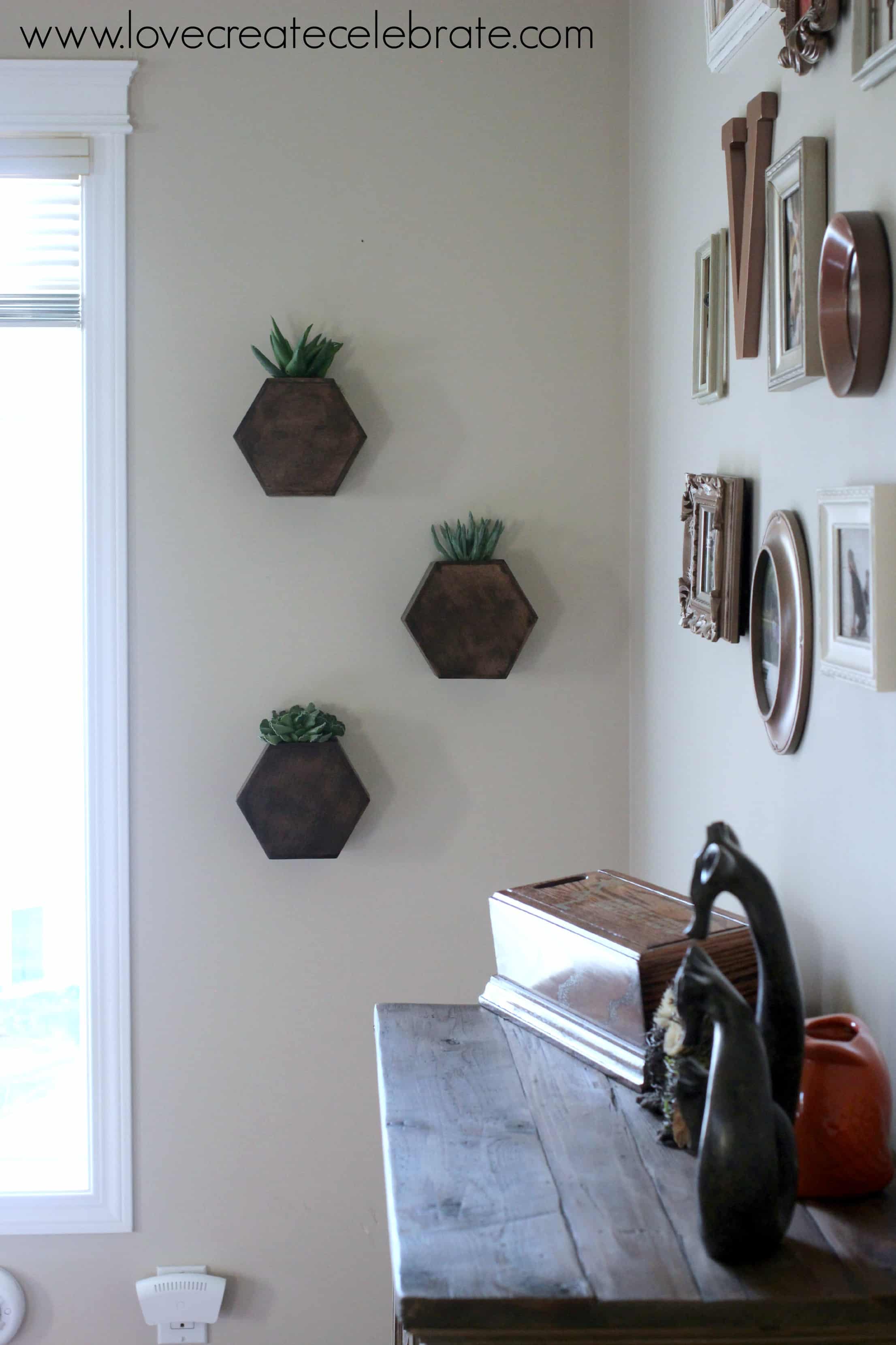 My finished hexagon wall planters hung on the wall 