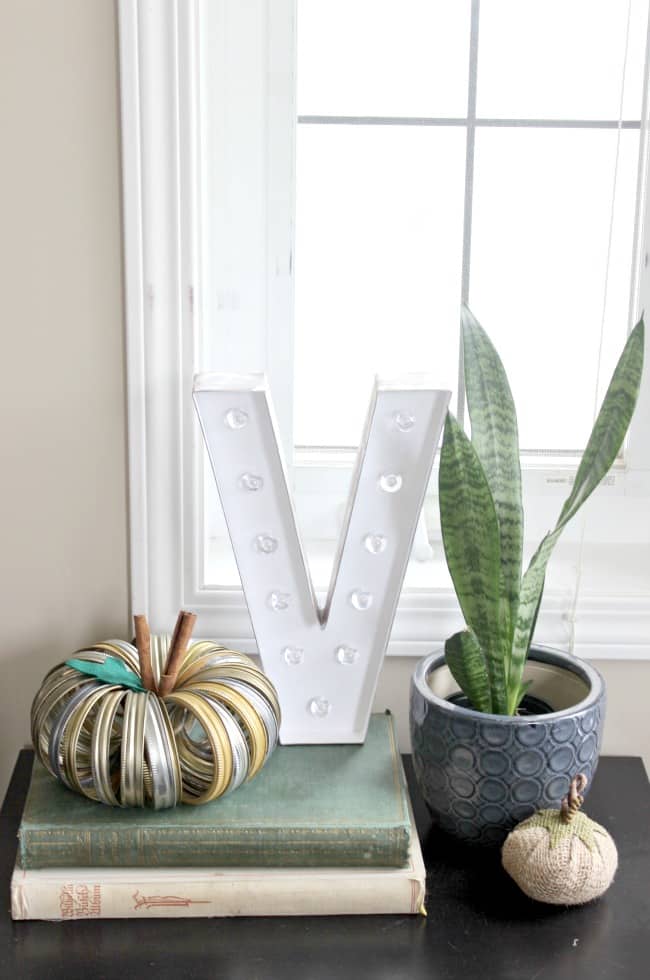 Pumpkins with different textures are a great way to add variety to autumn-themed decor