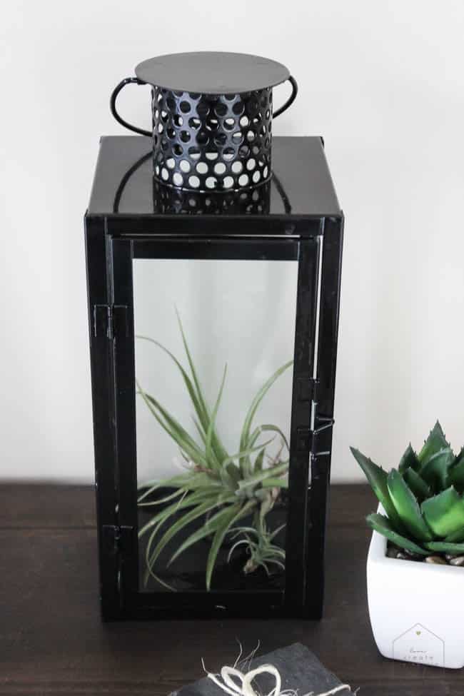 Make this DIY Modern Closed Terrarium in less than five minutes! Plus three different ideas to fill your terrarium. The perfect five minute project for spring!