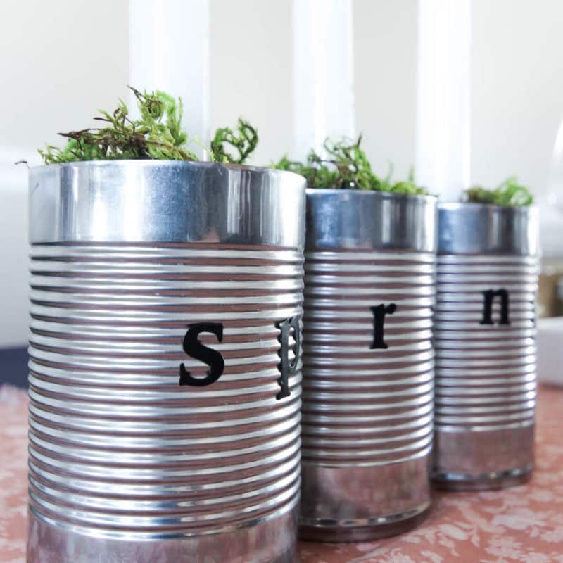 A beautiful, earthy centerpiece for your spring or summer table settings! Love the use of old tin cans! This quick DIY would take less than 10 minutes!