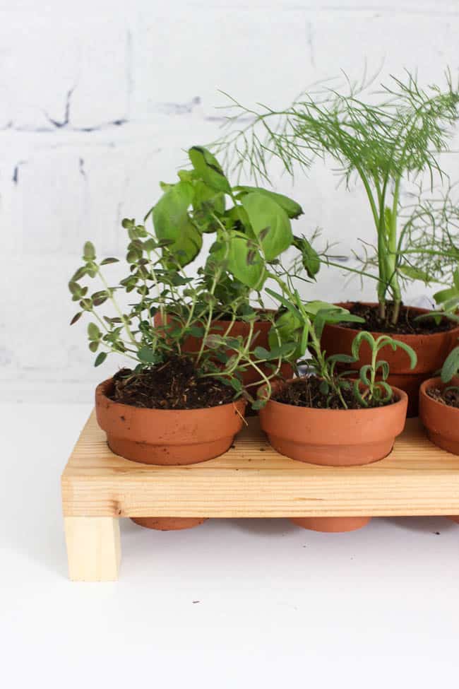 Front view image of the right side of the DIY herb garden