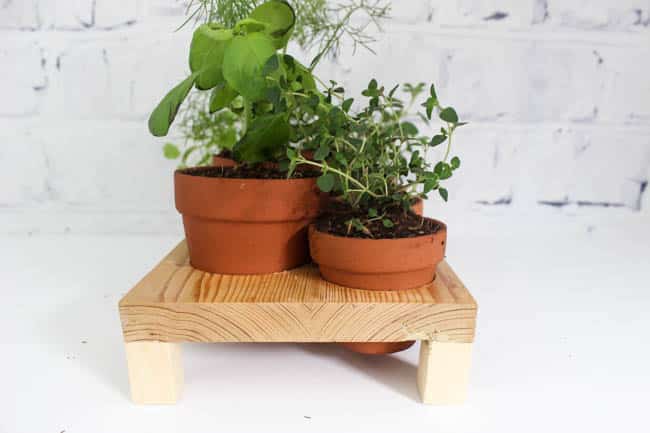 Side view image of the DIY herb garden