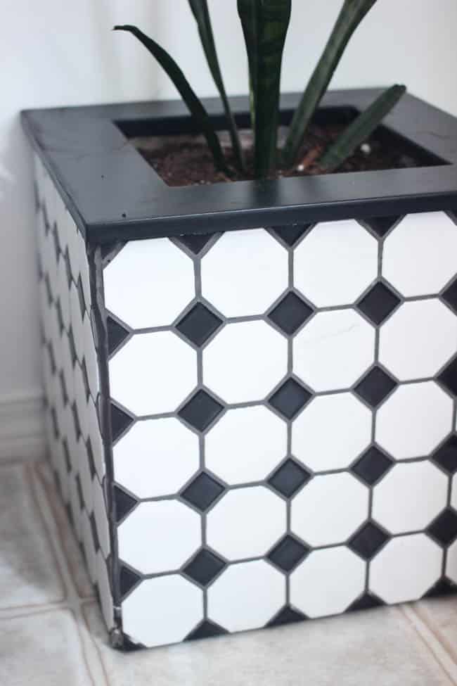 This black and white tile was leftover from another project and looks great on this planter box