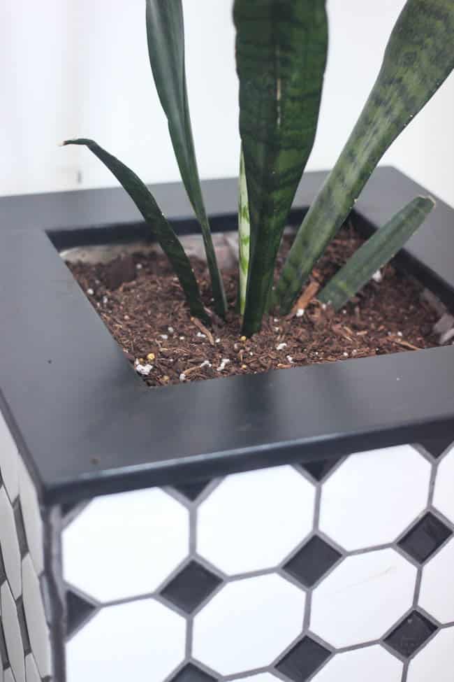 These DIY tiled planter boxes are a perfect project for either indoor plants or outdoor decor - they look so sleek and modern!