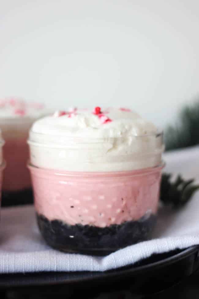 Try this no bake mini cheesecake recipe! These pink desserts are perfect for Valentine's Day, Bachelorettes, girls weekends, or just because!