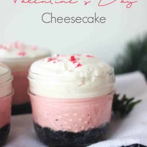 Looking for a quick and easy dessert? Try this no bake mini cheesecake recipe! These pink desserts are perfect for Valentine's Day, Bachelorettes, girls weekends, or just because!