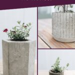 Collage of concrete planter ideas with text overlay reading Concrete planters at home