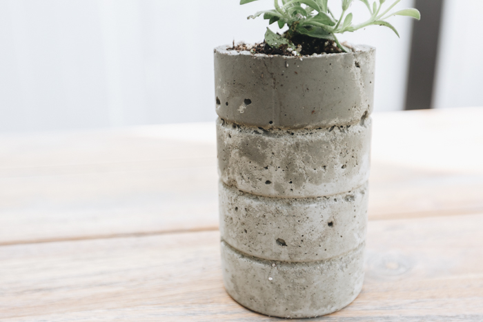 DIY concrete planters