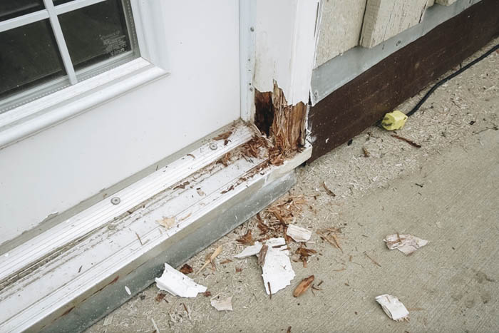 rot in exterior doors