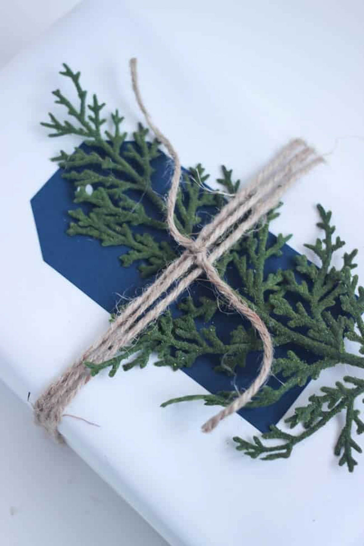 Box wrapped in DIY gift wrap with twine, greenery, and a blue tag.