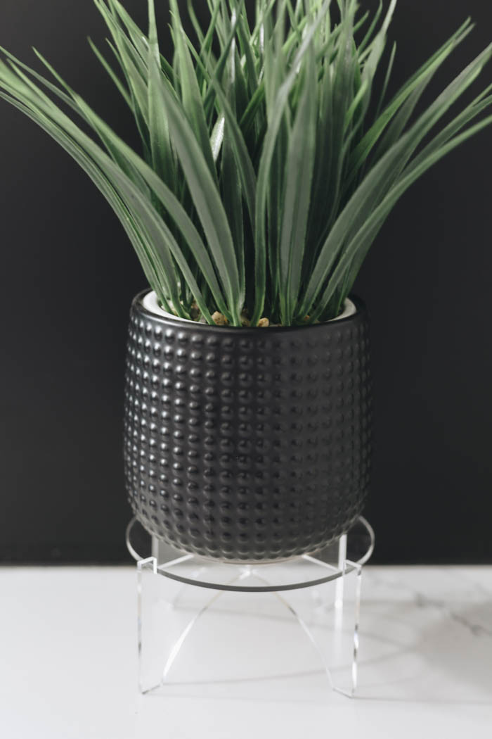 Plant sitting on acrylic plant holder