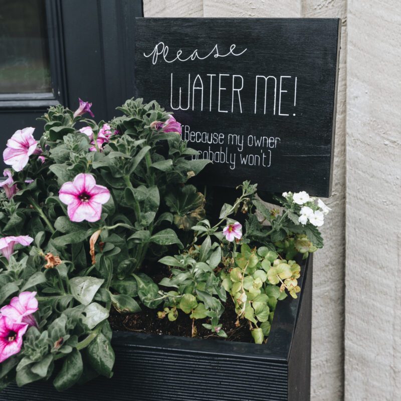 DIY Garden Sign with text "Please water me because my owner probably won't"